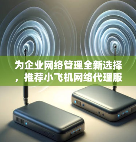 为企业网络管理全新选择，推荐小飞机网络代理服务