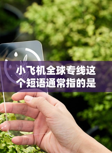 小飞机全球专线这个短语通常指的是针对小型飞机或直升机的全球范围内的飞行专线服务。这类服务可能涉及飞行规划、通信支持、导航系统或其他相关技术，旨在确保小飞机在全球范围内的飞行效率和安全性