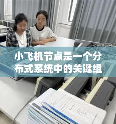 小飞机节点是一个分布式系统中的关键组件，具备多种功能和特点，确保系统的高效运行和稳定性。以下是对小飞机节点的详细分析
