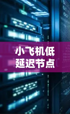 小飞机低延迟节点是一个涉及航空和网络技术的术语，主要用于描述在飞行器或相关网络中，通过优化节点的处理能力来减少数据传输延迟。以下是对该概念的详细分析