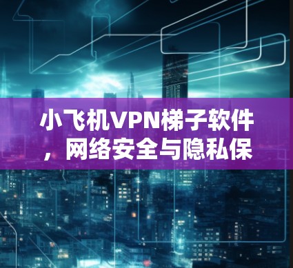小飞机VPN梯子软件，网络安全与隐私保护的高效解决方案