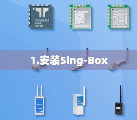 1.安装Sing-Box