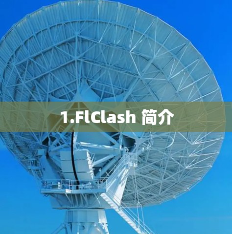 1.FlClash 简介