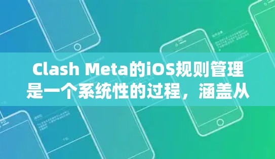 Clash Meta的iOS规则管理是一个系统性的过程，涵盖从安装配置到规则设置、监控和持续优化的多个步骤。以下是详细的步骤指南