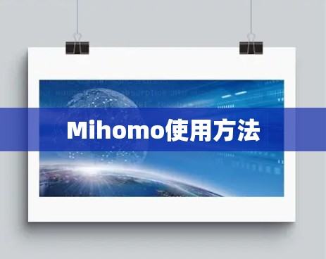 Mihomo使用方法