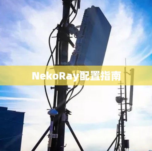 NekoRay配置指南