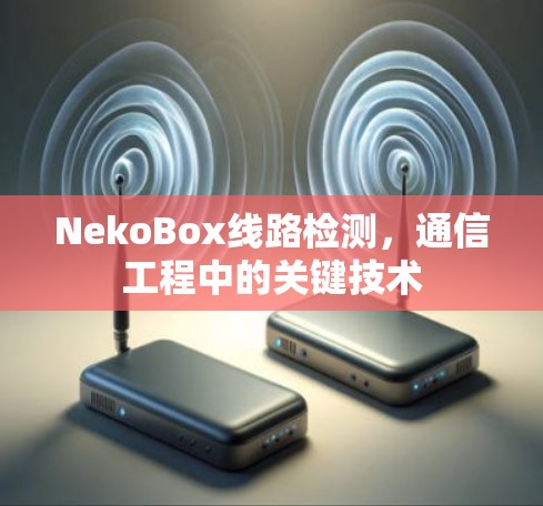 NekoBox线路检测，通信工程中的关键技术