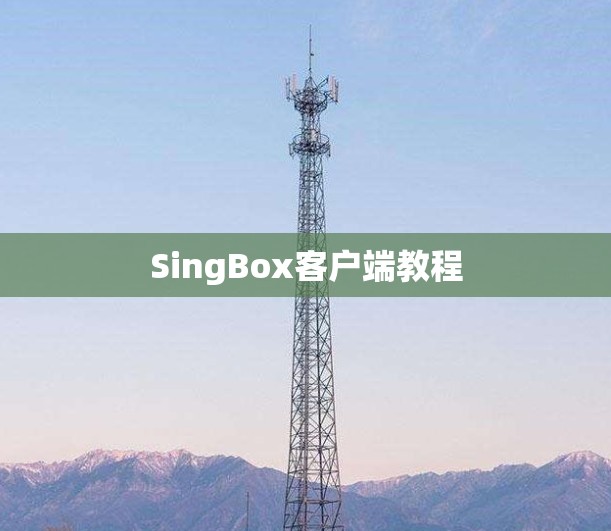 SingBox客户端教程