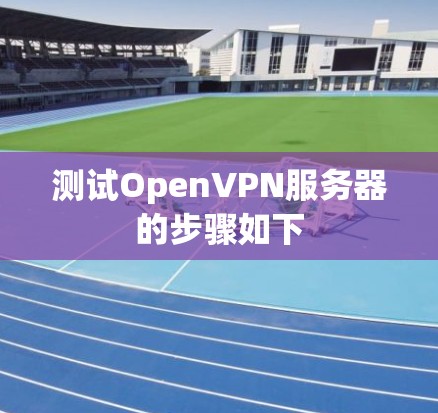 测试OpenVPN服务器的步骤如下