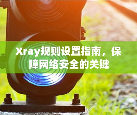 Xray规则设置指南，保障网络安全的关键