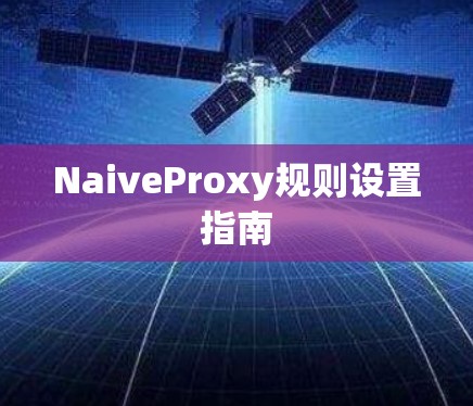 NaiveProxy规则设置指南