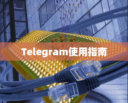 Telegram使用指南