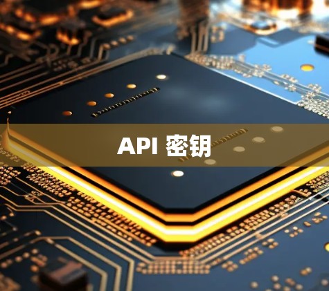 API 密钥