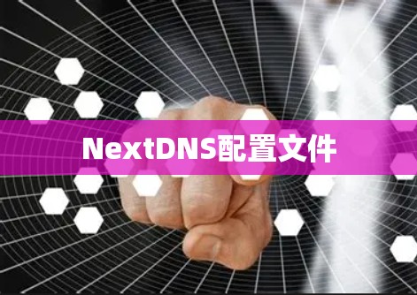 NextDNS配置文件