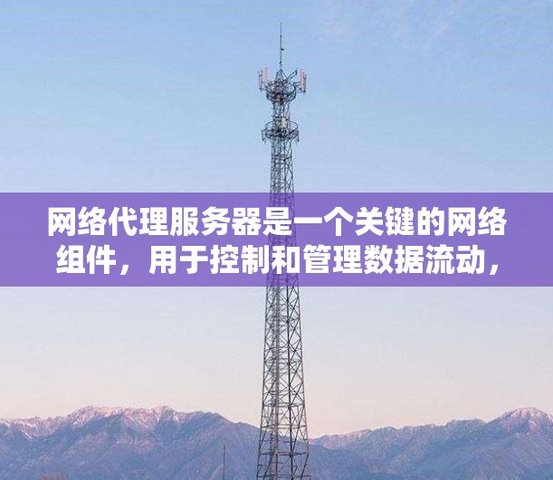 网络代理服务器是一个关键的网络组件，用于控制和管理数据流动，广泛应用于缓存、安全、负载均衡等多个领域。以下是学习和操作网络代理服务器的分步指南