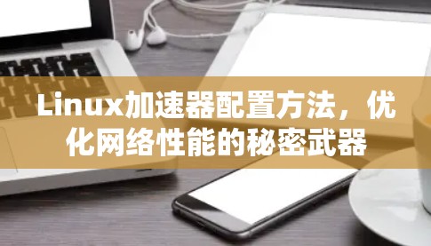 Linux加速器配置方法，优化网络性能的秘密武器