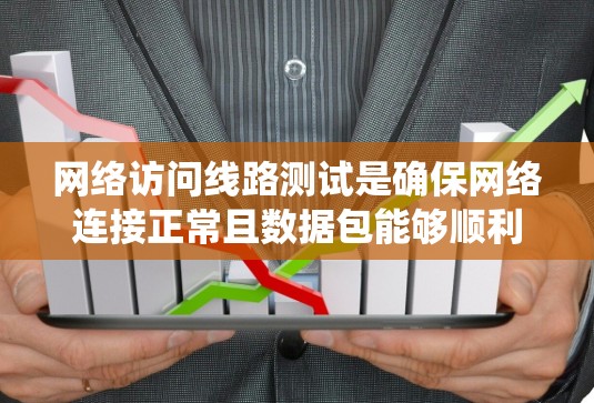 网络访问线路测试是确保网络连接正常且数据包能够顺利路由的重要步骤。以下是系统地进行网络访问线路测试的步骤