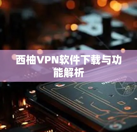 西柚VPN软件下载与功能解析