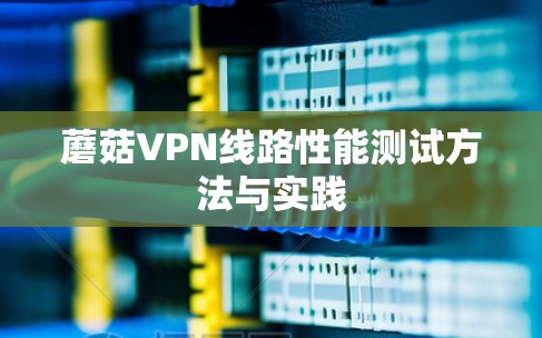 蘑菇VPN线路性能测试方法与实践