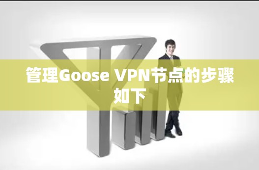 管理Goose VPN节点的步骤如下