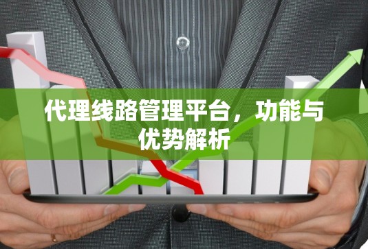 代理线路管理平台，功能与优势解析