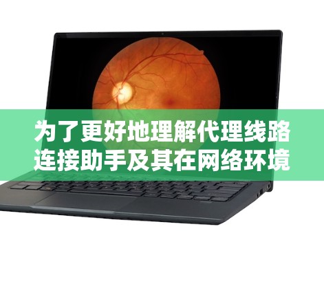 为了更好地理解代理线路连接助手及其在网络环境中的应用，我将从以下几个方面进行总结和分析