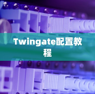 Twingate配置教程