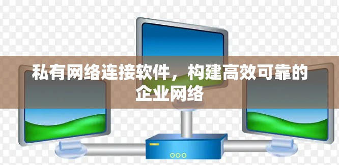 私有网络连接软件，构建高效可靠的企业网络