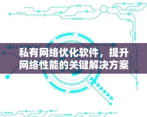私有网络优化软件，提升网络性能的关键解决方案