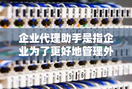 企业代理助手是指企业为了更好地管理外部事务和资源，使用的智能化助手。这些代理助手能够帮助企业处理客户关系、市场分析、供应链管理等多个方面的任务，提升企业的运营效率和客户体验