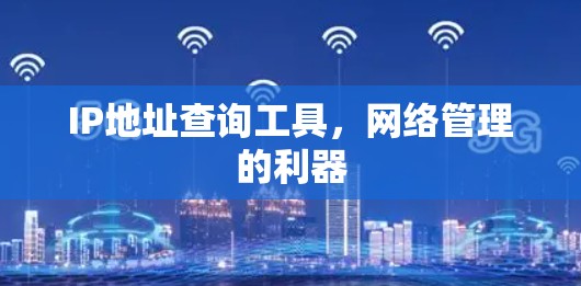 IP地址查询工具，网络管理的利器