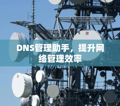DNS管理助手，提升网络管理效率