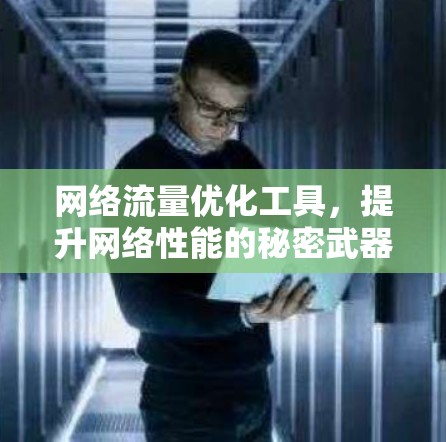 网络流量优化工具，提升网络性能的秘密武器