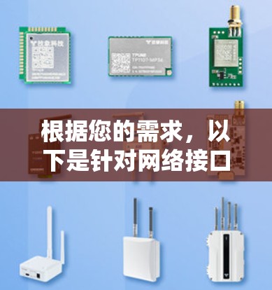 根据您的需求，以下是针对网络接口分析软件的分步建议