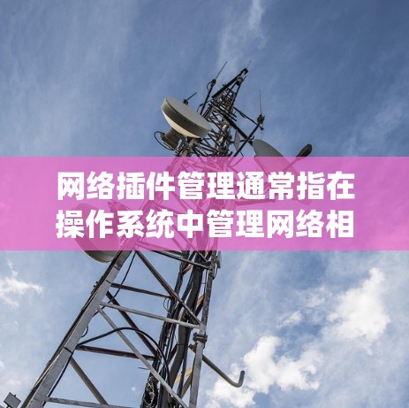 网络插件管理通常指在操作系统中管理网络相关的插件、驱动程序或组件。以下是一些常见的网络插件管理相关操作和注意事项