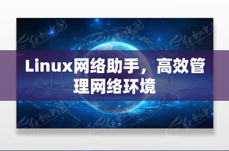 Linux网络助手，高效管理网络环境