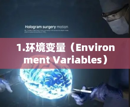 1.环境变量（Environment Variables）