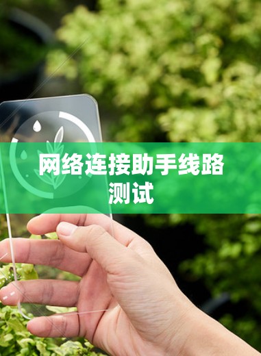 网络连接助手线路测试