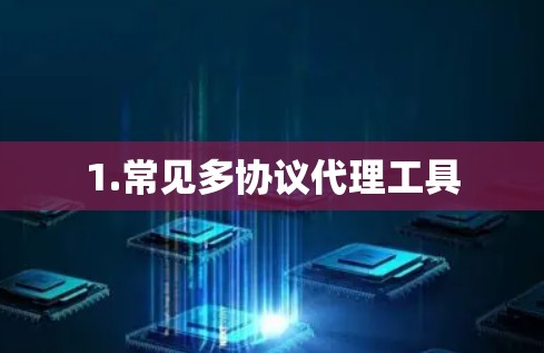 1.常见多协议代理工具