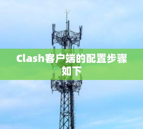 Clash客户端的配置步骤如下