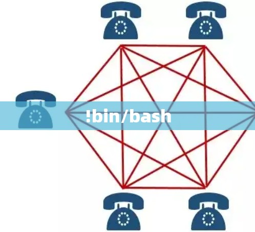 !bin/bash