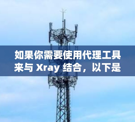 如果你需要使用代理工具来与 Xray 结合，以下是一些常用的代理工具