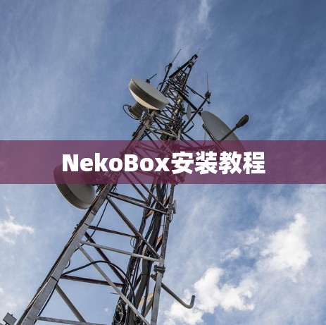 NekoBox安装教程