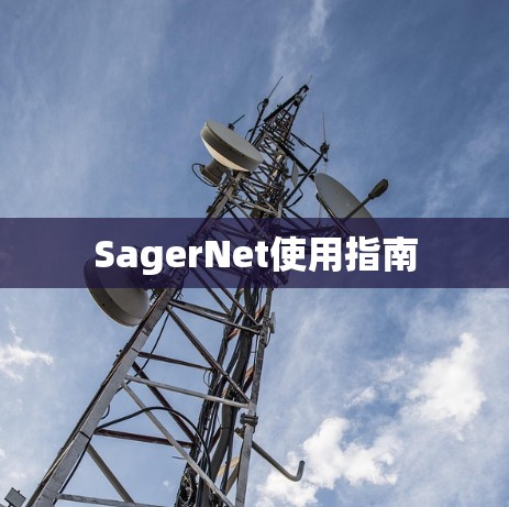 SagerNet使用指南