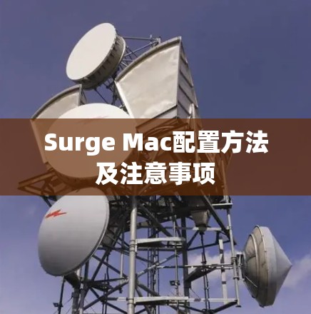 Surge Mac配置方法及注意事项