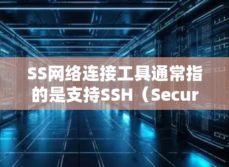 SS网络连接工具通常指的是支持SSH（Secure Shell）协议的工具，可以用于安全地通过文本界面远程登录到服务器或设备。以下是一些常用的SS网络连接工具及其介绍