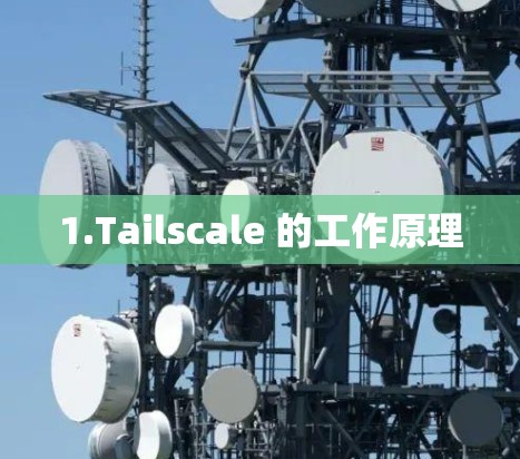 1.Tailscale 的工作原理