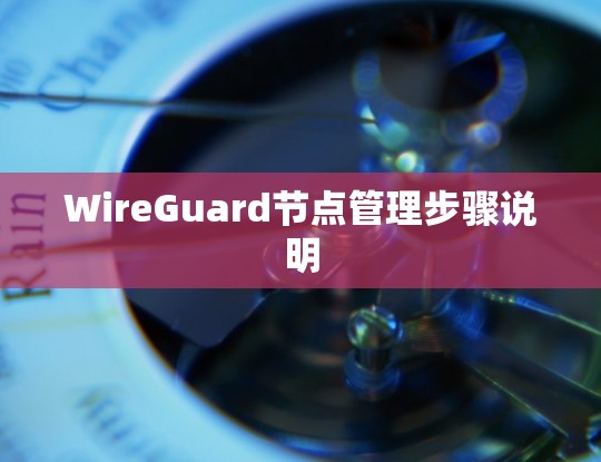 WireGuard节点管理步骤说明
