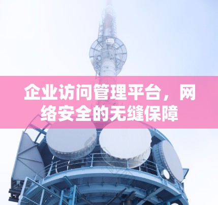 企业访问管理平台，网络安全的无缝保障