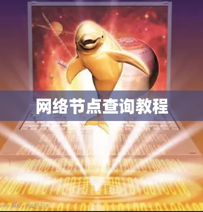 网络节点查询教程